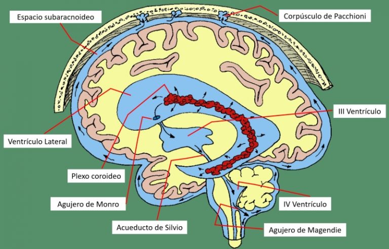 Hidrocefalia postraumática